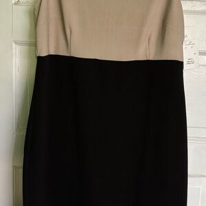 Elegant Black and Cream Dress